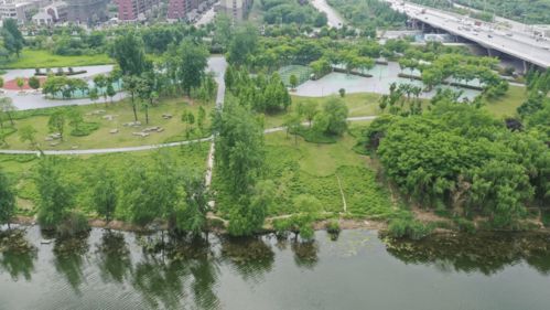 潁河橋下福利特輯 | 一河一園美景如畫(huà)，三重狂歡豪禮抱回家